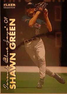 Shawn Green