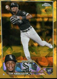 Tim Anderson