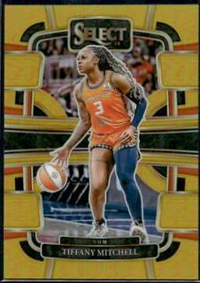 Tiffany Mitchell