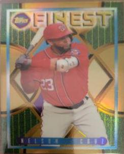 Nelson Cruz