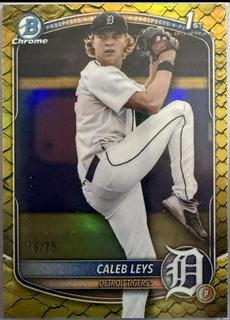 Caleb Leys
