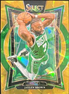 Jaylen Brown