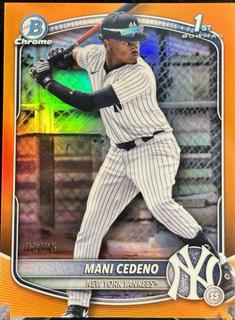 Mani Cedeno