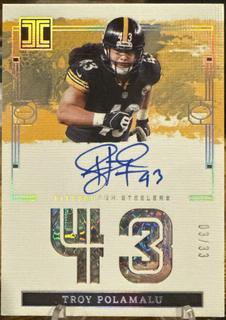 Troy Polamalu