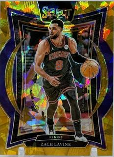Zach LaVine