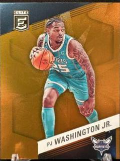 PJ Washington Jr.