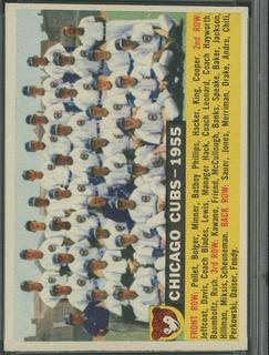 Cubs Team