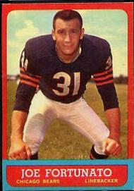 Joe Fortunato #69 Football Cards 1963 Topps