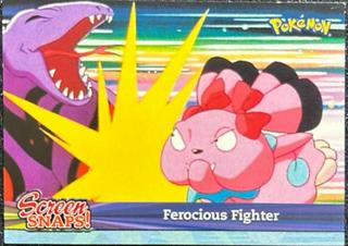 Ferocious Fighter