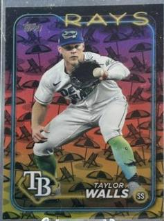 Taylor Walls