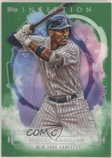 Miguel Andujar