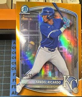 Yandel Ricardo