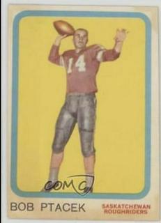 Bob Ptacek