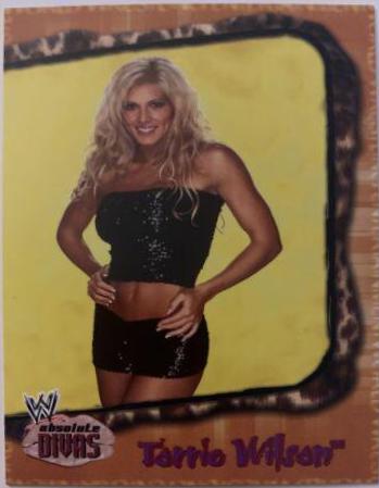 Torrie Wilson #22 Wrestling Cards 2002 Fleer WWE Absolute Divas