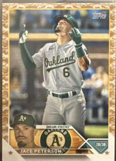 Jace Peterson