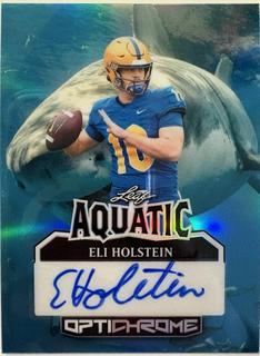 Eli Holstein