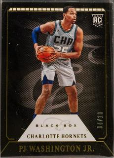PJ Washington Jr.