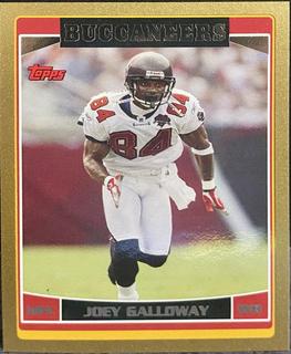 Joey Galloway