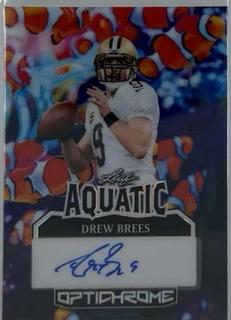 Drew Brees
