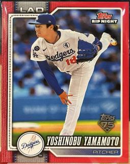 Yoshinobu Yamamoto