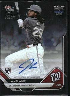 James Wood