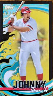 Johnny Bench