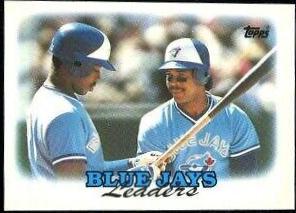 Blue Jays Leaders