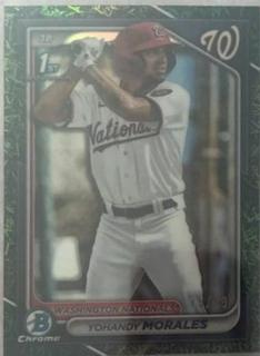 Yohandy Morales