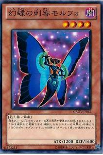 Morpho Butterspy GAOV-JP012