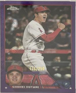 Shohei Ohtani