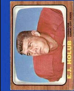 E.J. Holub