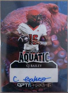 CJ Bailey