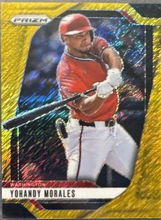 Yohandy Morales
