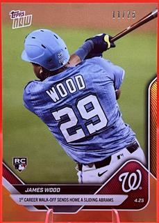 James Wood