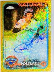 Cayden Wallace [Gold Mini-Diamond Refractor Autograph] #PDC-24