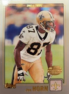 Joe Horn