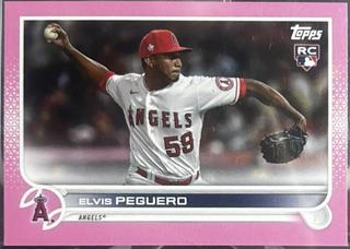 Elvis Peguero