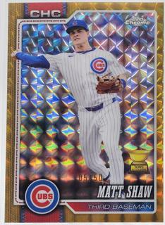 Matt Shaw