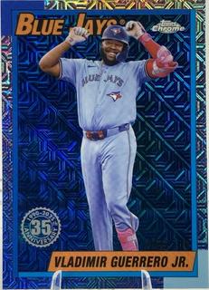 Vladimir Guerrero Jr.