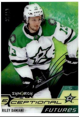 Riley Damiani #EF-RD Hockey Cards 2021 Upper Deck Synergy Exceptional Futures