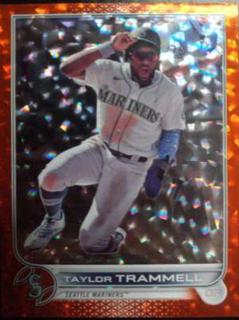 Taylor Trammell