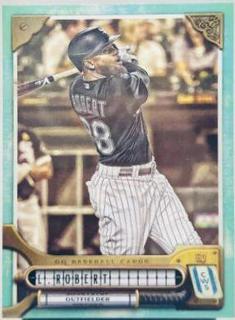 Luis Robert
