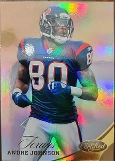 Andre Johnson