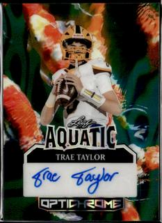 Trae Taylor