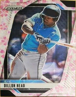 Dillon Head
