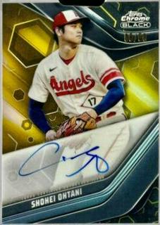 Shohei Ohtani