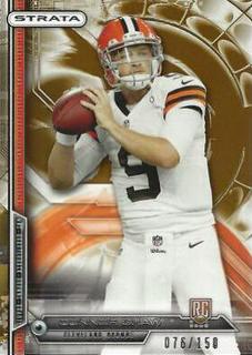 Connor Shaw