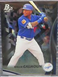 Willie Calhoun