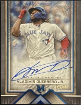 Vladimir Guerrero Jr. [Sapphire] #AA-VGJ