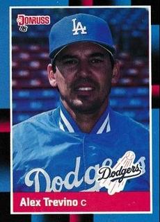 Alejandro Trevino